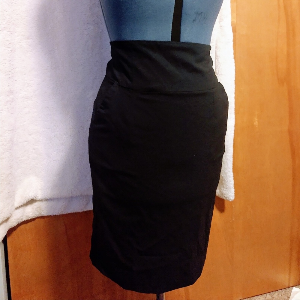 Banana Republic Pencil Skirt